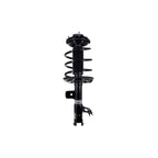 Suspension Strut and Coil Spring Assembly LS34-86651R
