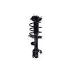 Suspension Strut and Coil Spring Assembly LS34-86651R