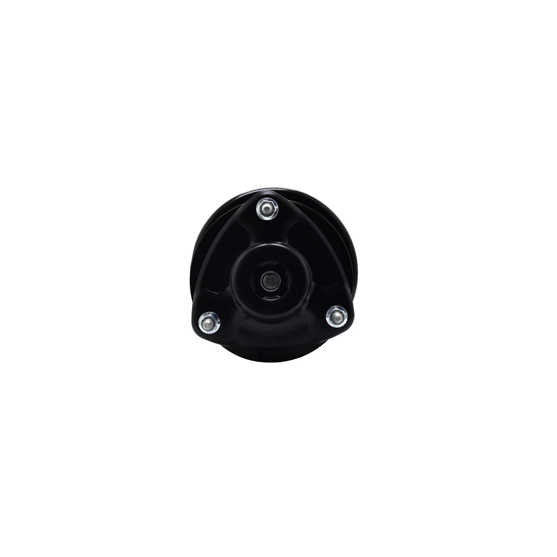 Suspension Strut and Coil Spring Assembly LS34-86651R