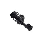 Suspension Strut and Coil Spring Assembly LS34-86651R