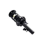 Suspension Strut and Coil Spring Assembly LS34-86661L