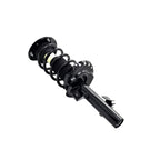 Suspension Strut and Coil Spring Assembly LS34-86661R