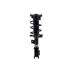 Suspension Strut and Coil Spring Assembly LS34-86671L