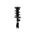 Suspension Strut and Coil Spring Assembly LS34-86671R