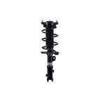 Suspension Strut and Coil Spring Assembly LS34-86681L