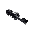 Suspension Strut and Coil Spring Assembly LS34-86681L
