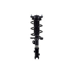 Suspension Strut and Coil Spring Assembly LS34-86681R