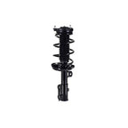 Suspension Strut and Coil Spring Assembly LS34-86681R