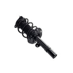 Suspension Strut and Coil Spring Assembly LS34-86691L