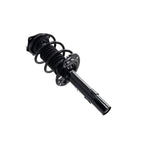 Suspension Strut and Coil Spring Assembly LS34-86691R