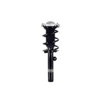 Suspension Strut and Coil Spring Assembly LS34-86701R