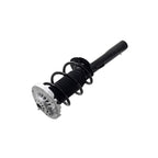 Suspension Strut and Coil Spring Assembly LS34-86701R