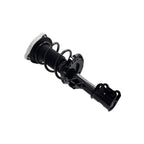 Suspension Strut and Coil Spring Assembly LS34-86711L