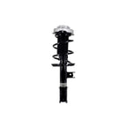Suspension Strut and Coil Spring Assembly LS34-86711R