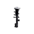 Suspension Strut and Coil Spring Assembly LS34-86711R