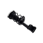 Suspension Strut and Coil Spring Assembly LS34-86711R