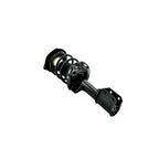 Suspension Strut and Coil Spring Assembly LS34-86741B