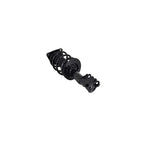 Suspension Strut and Coil Spring Assembly LS34-86751L