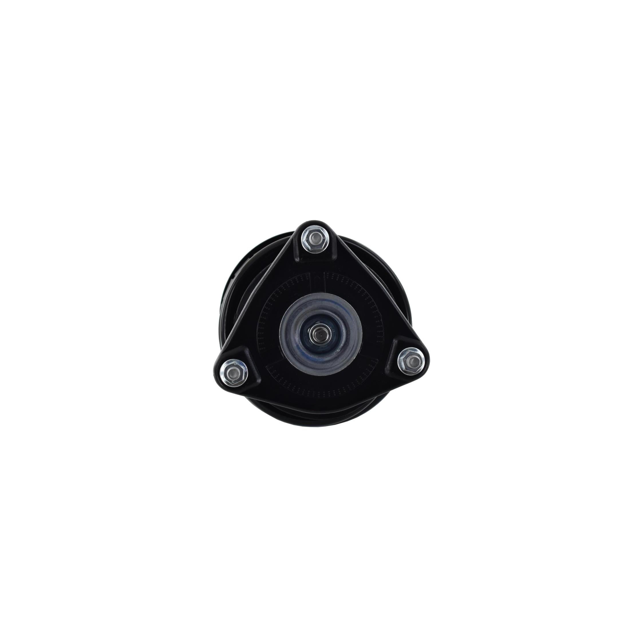 Suspension Strut and Coil Spring Assembly LS34-86751R