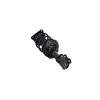 Suspension Strut and Coil Spring Assembly LS34-86751R