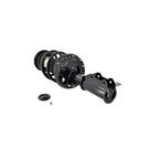 Suspension Strut and Coil Spring Assembly LS34-86801R