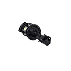 Suspension Strut and Coil Spring Assembly LS34-86821L