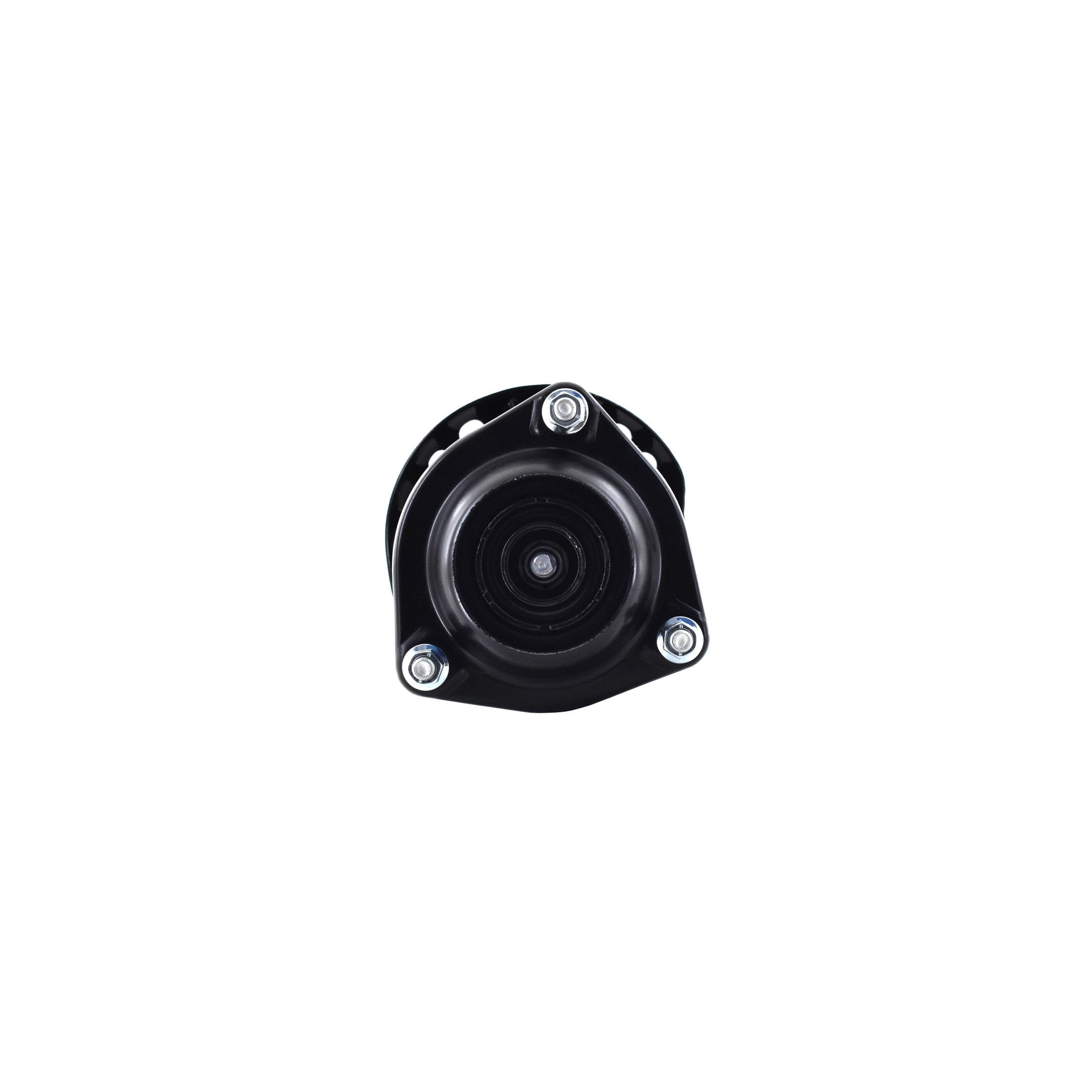 Suspension Strut and Coil Spring Assembly LS34-86831L