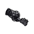 Suspension Strut and Coil Spring Assembly LS34-86831L