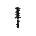 Suspension Strut and Coil Spring Assembly LS34-86831R