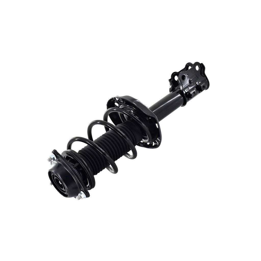 Suspension Strut and Coil Spring Assembly LS34-86831R