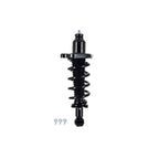 Suspension Strut and Coil Spring Assembly LS34-86842L