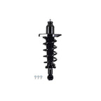 Suspension Strut and Coil Spring Assembly LS34-86842R