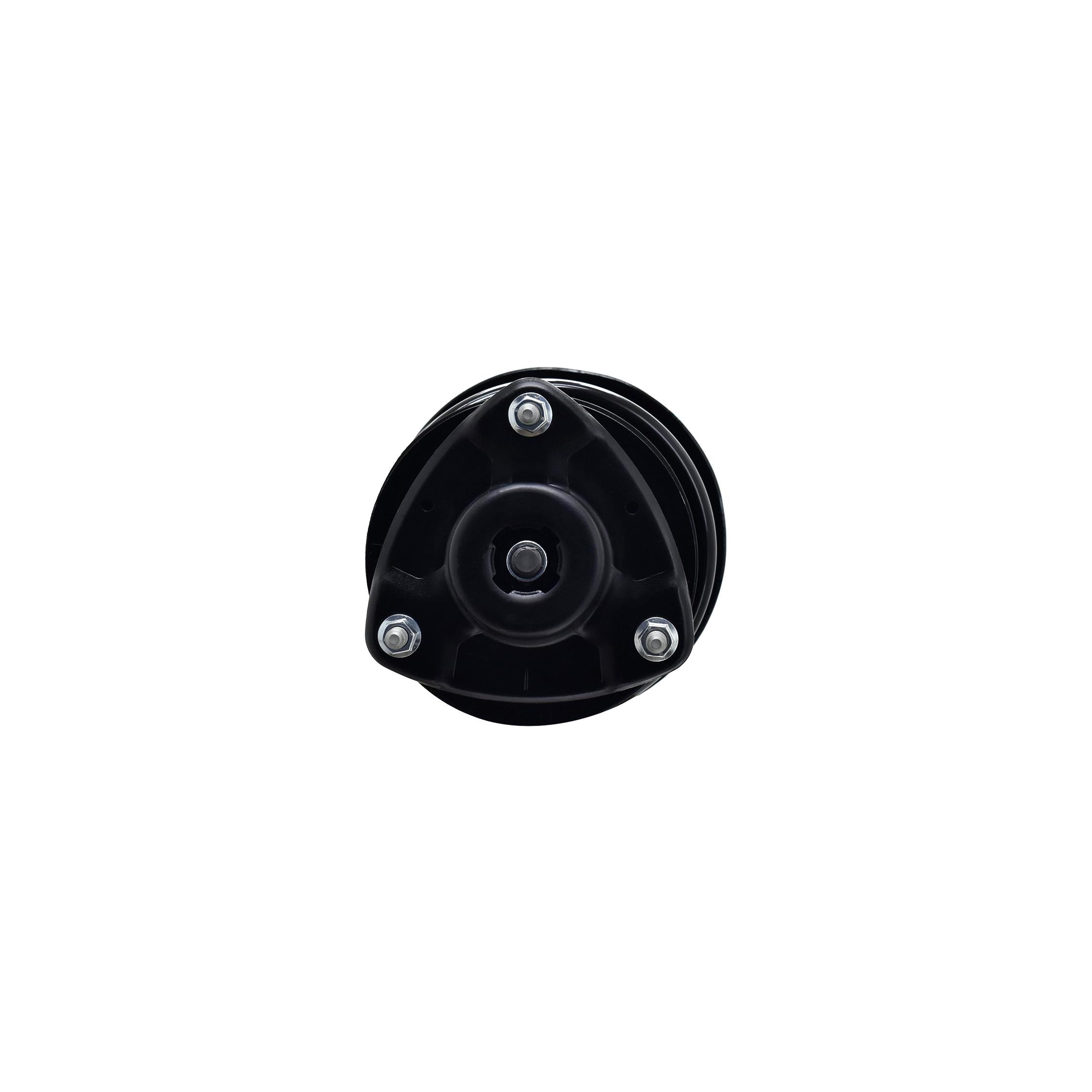 Suspension Strut and Coil Spring Assembly LS34-86861L