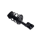 Suspension Strut and Coil Spring Assembly LS34-86861L