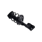 Suspension Strut and Coil Spring Assembly LS34-86861R