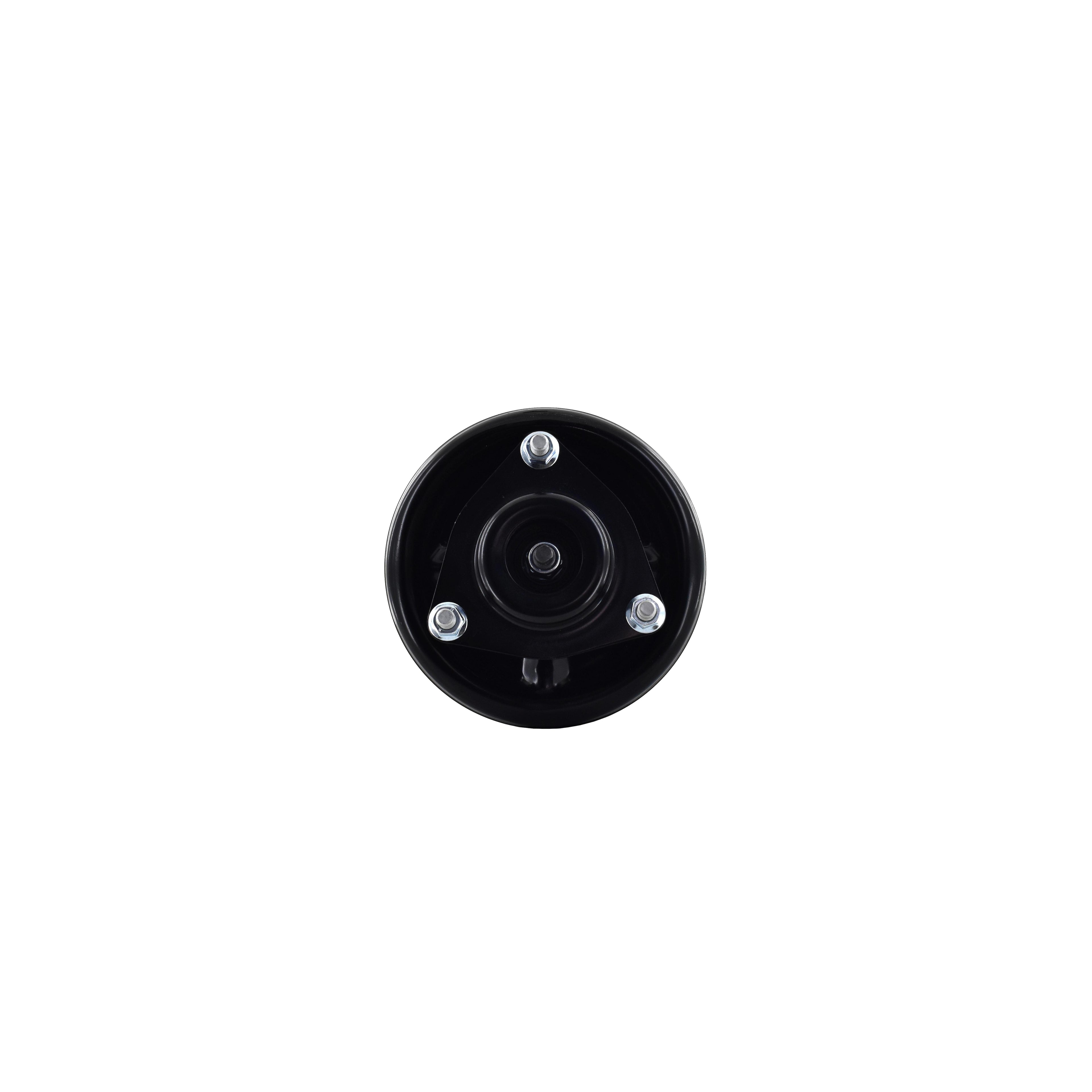 Suspension Strut and Coil Spring Assembly LS34-86881L