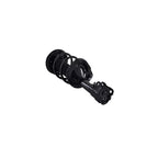 Suspension Strut and Coil Spring Assembly LS34-86881L