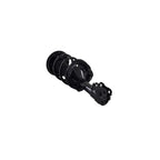 Suspension Strut and Coil Spring Assembly LS34-86881R