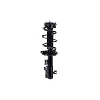 Suspension Strut and Coil Spring Assembly LS34-86891L