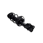 Suspension Strut and Coil Spring Assembly LS34-86891L