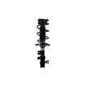 Suspension Strut and Coil Spring Assembly LS34-86891R