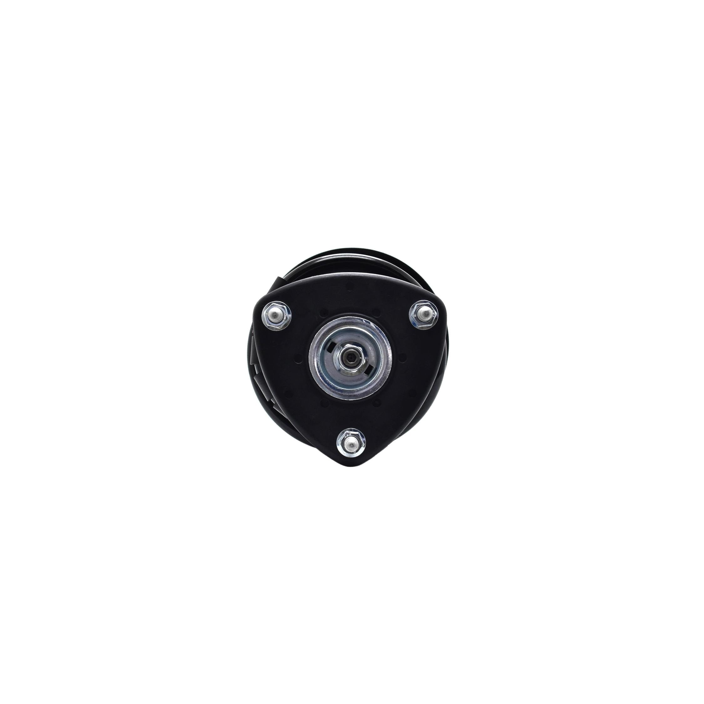 Suspension Strut and Coil Spring Assembly LS34-86891R