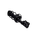 Suspension Strut and Coil Spring Assembly LS34-86891R