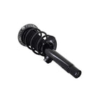 Suspension Strut and Coil Spring Assembly LS34-86901B