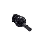 Suspension Strut and Coil Spring Assembly LS34-86911L