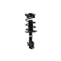 Suspension Strut and Coil Spring Assembly LS34-86921R