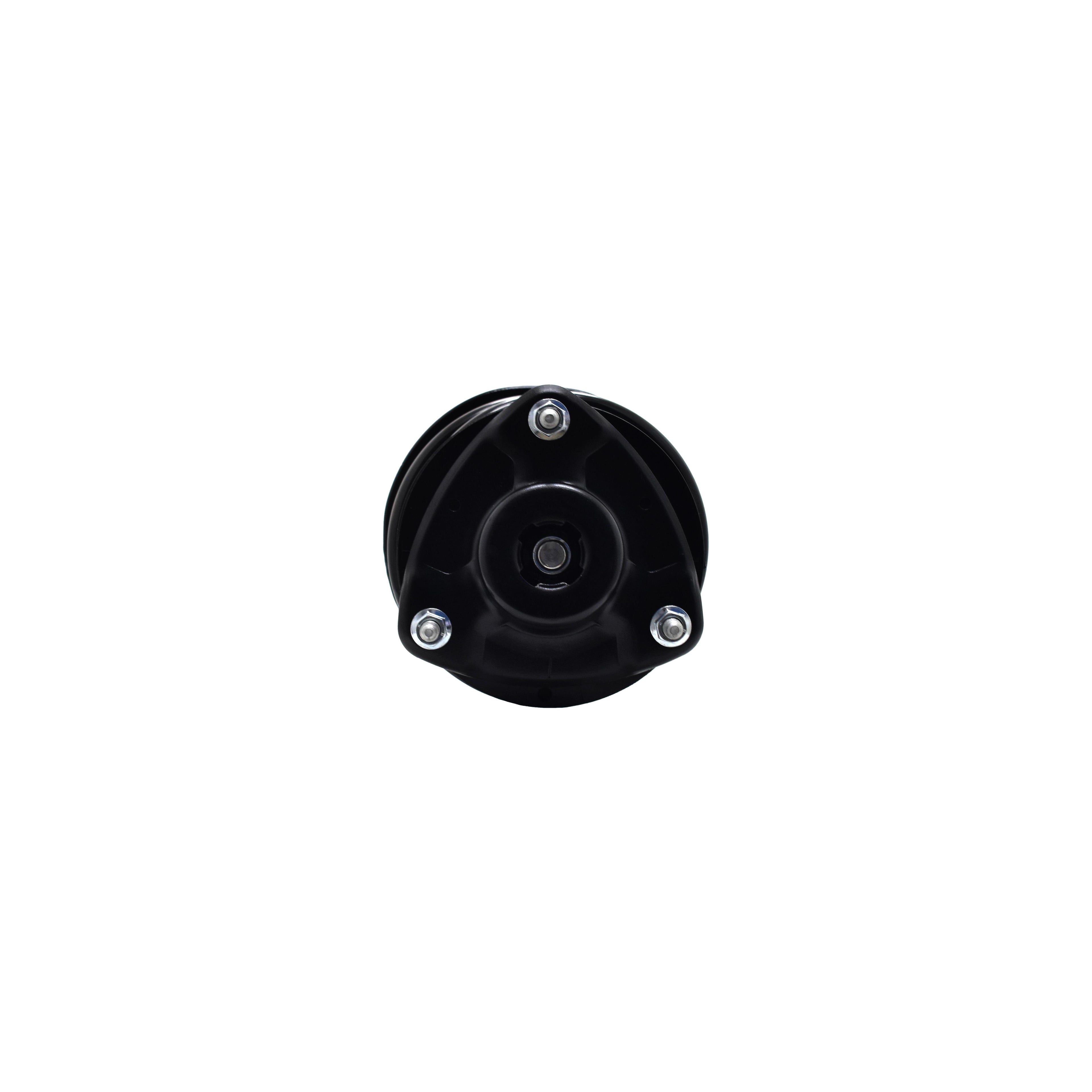 Suspension Strut and Coil Spring Assembly LS34-86931L