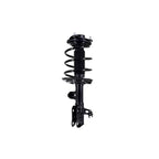 Suspension Strut and Coil Spring Assembly LS34-86931R