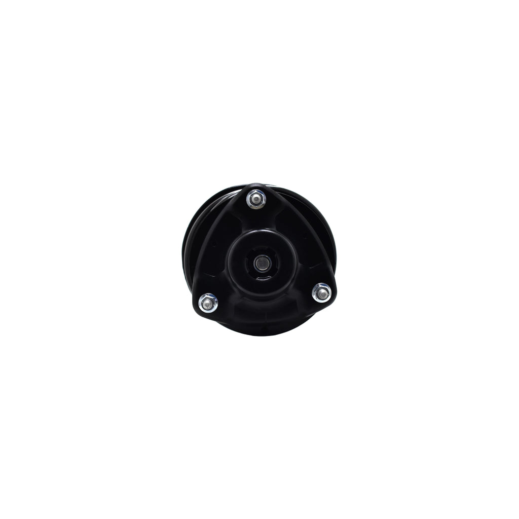 Suspension Strut and Coil Spring Assembly LS34-86931R