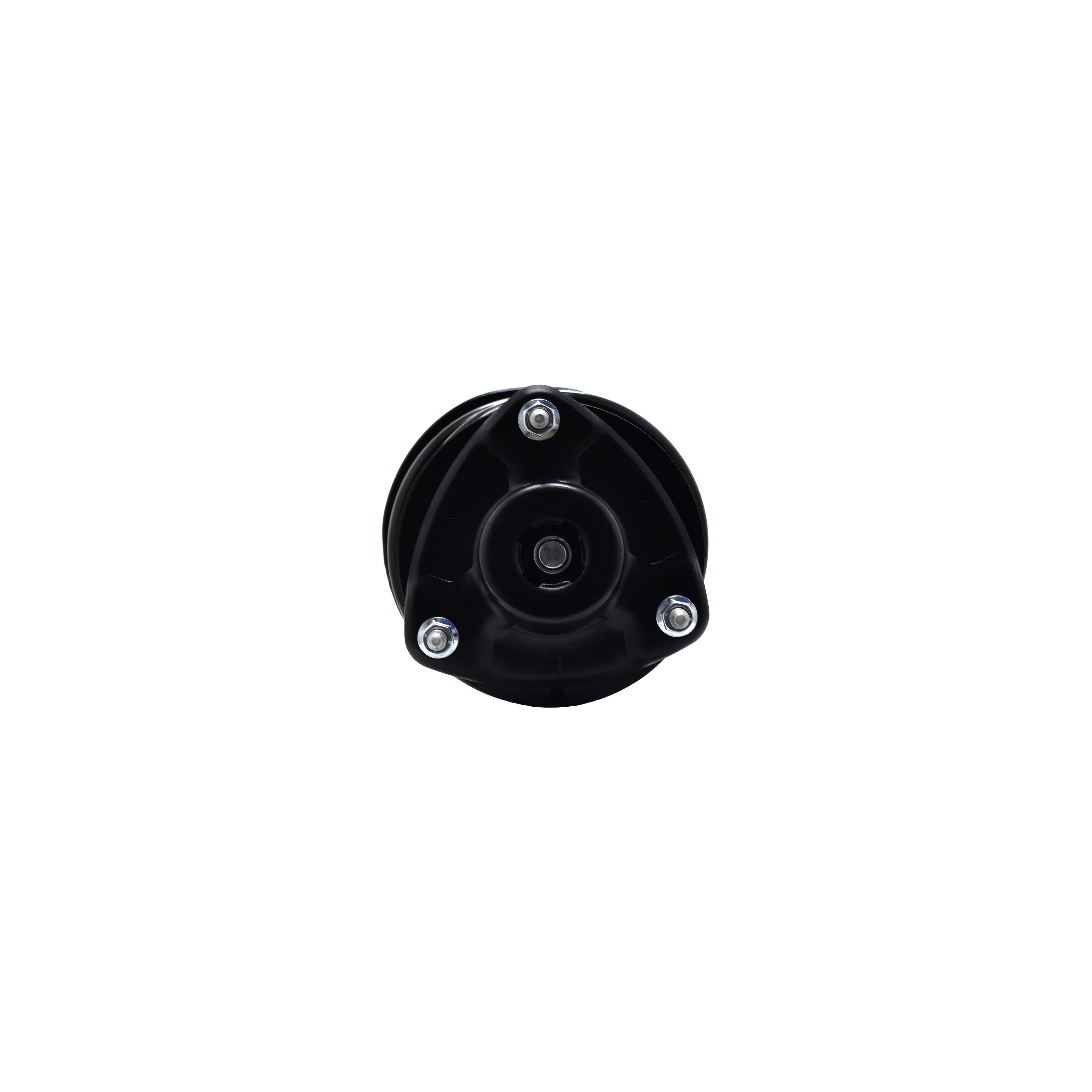 Suspension Strut and Coil Spring Assembly LS34-86931R